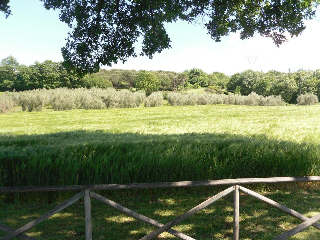 Agriturismo Il Giardino Saturnia Exterior foto